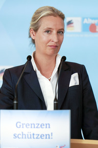 Fraktionssitzung der AfD-Bundestagsfraktion in Berlin