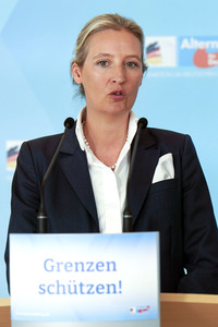 Fraktionssitzung der AfD-Bundestagsfraktion in Berlin