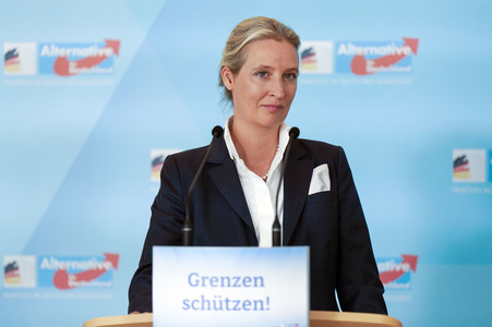 Fraktionssitzung der AfD-Bundestagsfraktion in Berlin