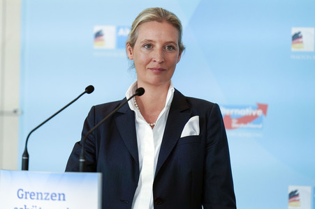 Fraktionssitzung der AfD-Bundestagsfraktion in Berlin