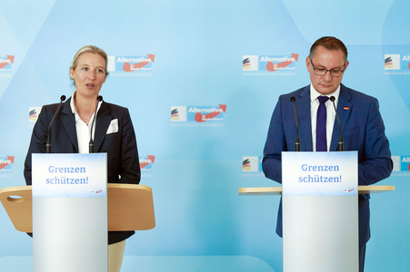 Fraktionssitzung der AfD-Bundestagsfraktion in Berlin