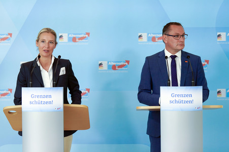 Fraktionssitzung der AfD-Bundestagsfraktion in Berlin