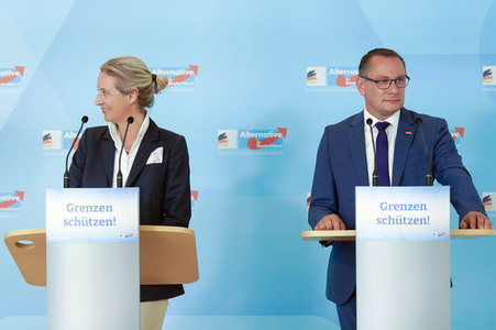 Fraktionssitzung der AfD-Bundestagsfraktion in Berlin