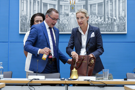 Fraktionssitzung der AfD-Bundestagsfraktion in Berlin
