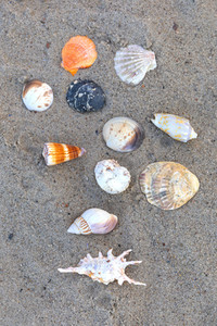 Symbolfoto Badestrand