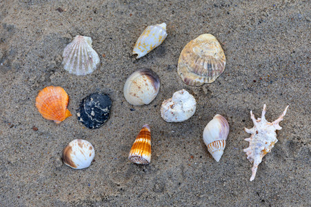 Symbolfoto Badestrand