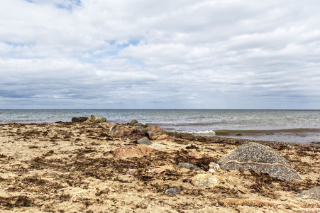 Bodypainting in Nature Kalender 2024