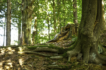 Bodypainting in Nature Kalender 2024