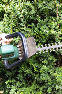 Symbolfoto Hecke schneiden