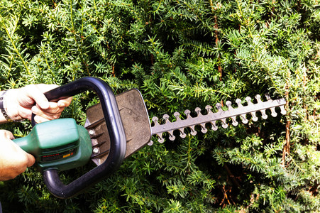 Symbolfoto Hecke schneiden