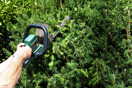 Symbolfoto Hecke schneiden