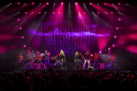 Wolffgang Petry Musical-Show 'Wahnsinn! - Die Show' in Erfurt