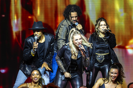 Wolffgang Petry Musical-Show 'Wahnsinn! - Die Show' in Erfurt