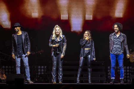 Wolffgang Petry Musical-Show 'Wahnsinn! - Die Show' in Erfurt