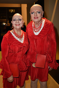 27. Festliche Operngala für die Deutsche AIDS-Stiftung in Berlin