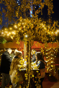 Weihnachtsmarkt 'Winterzauber' in Berlin
