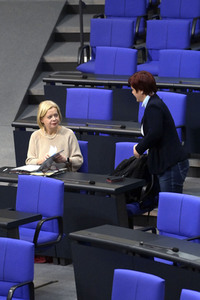 135. Sitzung des Deutschen Bundestages in Berlin