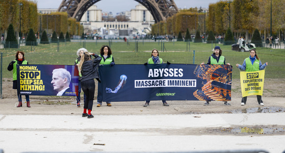 Greenpeace-Demo in Paris