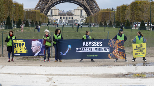 Greenpeace-Demo in Paris