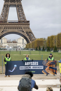 Greenpeace-Demo in Paris