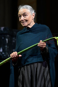 Lesung mit Blanche Kommerell in Görlitz