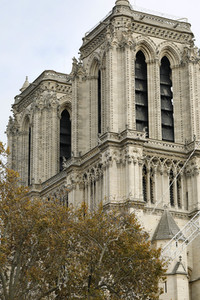 Wiederaufbau der zerstörten Kathedrale Notre-Dame de Paris