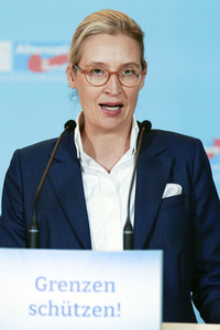 Fraktionssitzung der AfD-Bundestagsfraktion in Berlin