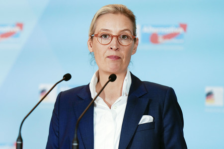 Fraktionssitzung der AfD-Bundestagsfraktion in Berlin