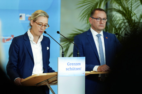 Fraktionssitzung der AfD-Bundestagsfraktion in Berlin