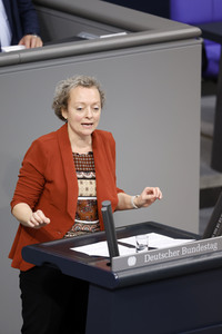 138. Sitzung des Deutschen Bundestages in Berlin