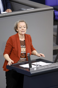 138. Sitzung des Deutschen Bundestages in Berlin