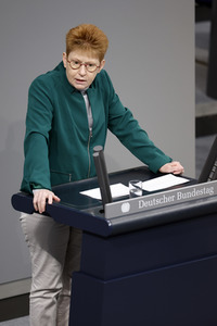 138. Sitzung des Deutschen Bundestages in Berlin