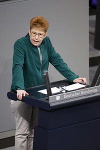 138. Sitzung des Deutschen Bundestages in Berlin