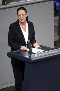 138. Sitzung des Deutschen Bundestages in Berlin