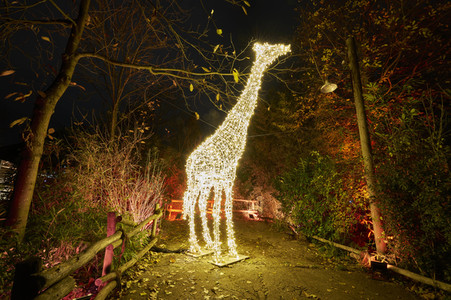 Eröffnung des Christmas Garden 2023 in Hannover