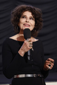 Filmpremiere 'Monsieur Blake zu Diensten', 23. Französische Filmwoche Berlin