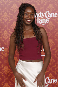 Filmpremiere 'Candy Cane Lane' in Los Angeles