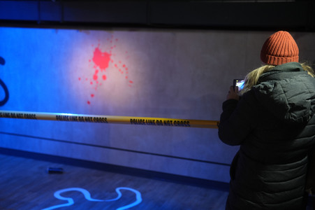 Ausstellungseröffung 'Banksy - A Vandal Turned Idol' in Berlin