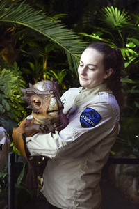 Presse Preview von 'Jurassic World: The Exhibition' in Berlin