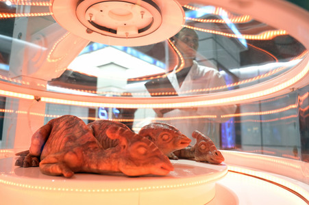 Presse Preview von 'Jurassic World: The Exhibition' in Berlin