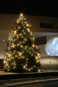 Symbolfoto Weihnachtsbaum