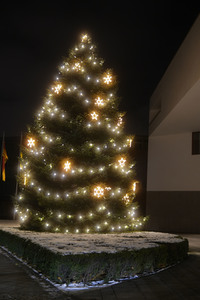 Symbolfoto Weihnachtsbaum
