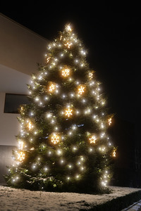 Symbolfoto Weihnachtsbaum