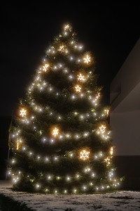 Symbolfoto Weihnachtsbaum
