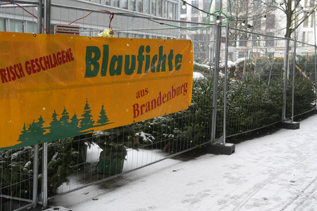 Symbolfoto Weihnachtsbaumverkauf