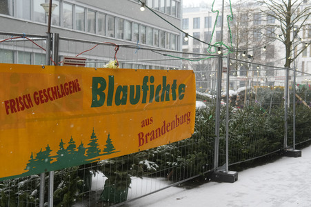 Symbolfoto Weihnachtsbaumverkauf