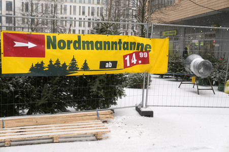 Symbolfoto Weihnachtsbaumverkauf