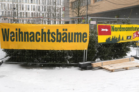 Symbolfoto Weihnachtsbaumverkauf