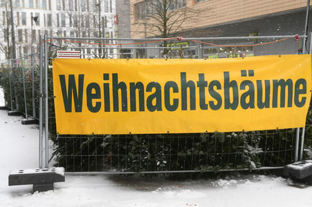 Symbolfoto Weihnachtsbaumverkauf