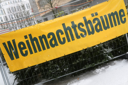Symbolfoto Weihnachtsbaumverkauf